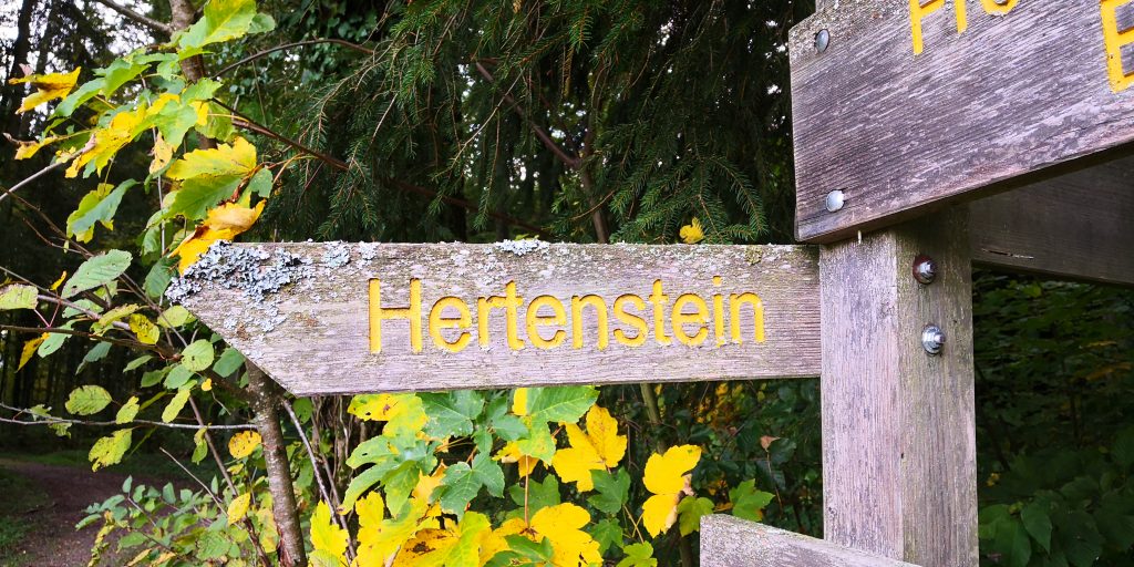 IMG_20191012_171722-15708976630