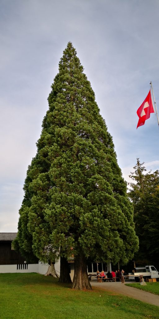 IMG_20191012_173841-15708977060