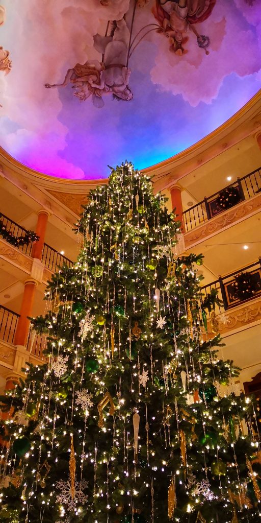 IMG_20191222_214922-15802492510