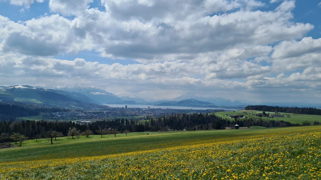 20210414_130519-16189303122