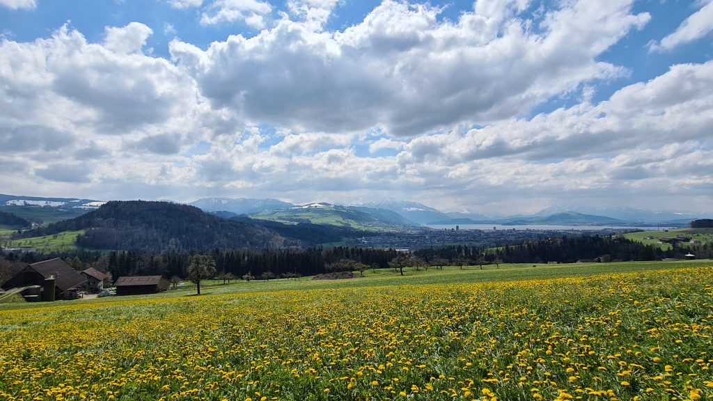 20210414_131252-16189303206